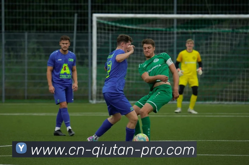 球探体育平台生态图