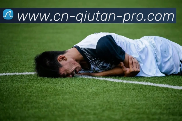 球探体育全站App